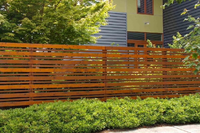 Image of: Beauty Privacy Fence Ideas