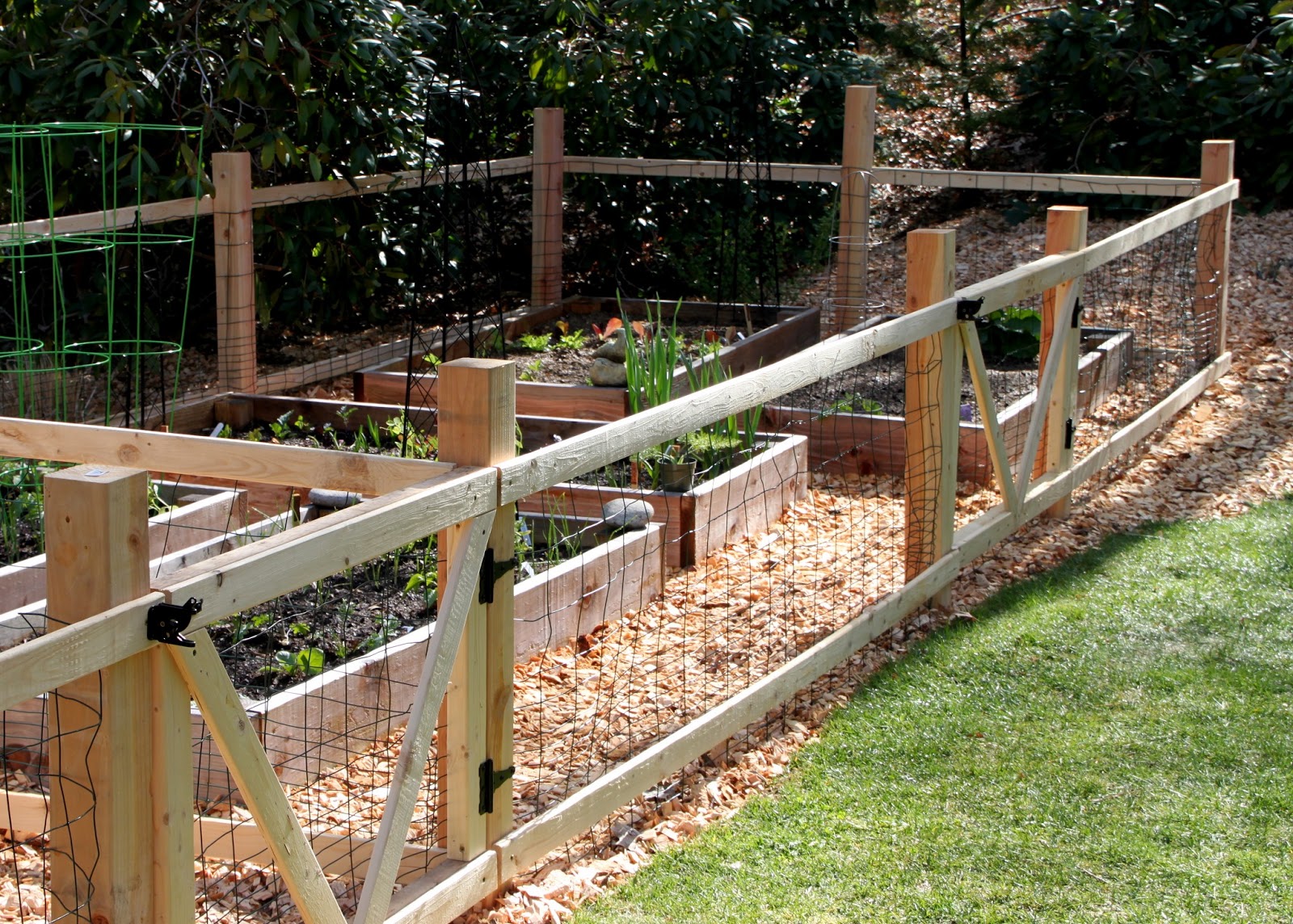 Garden Fence Ideas Simple