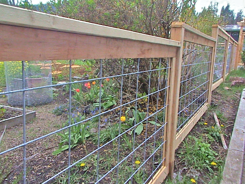 Image of: Hog Wire Fence Style