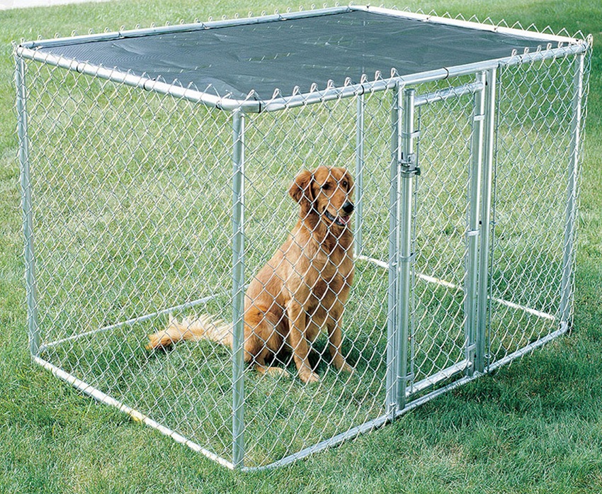 Image of: How To Build A Portable Dog Fence