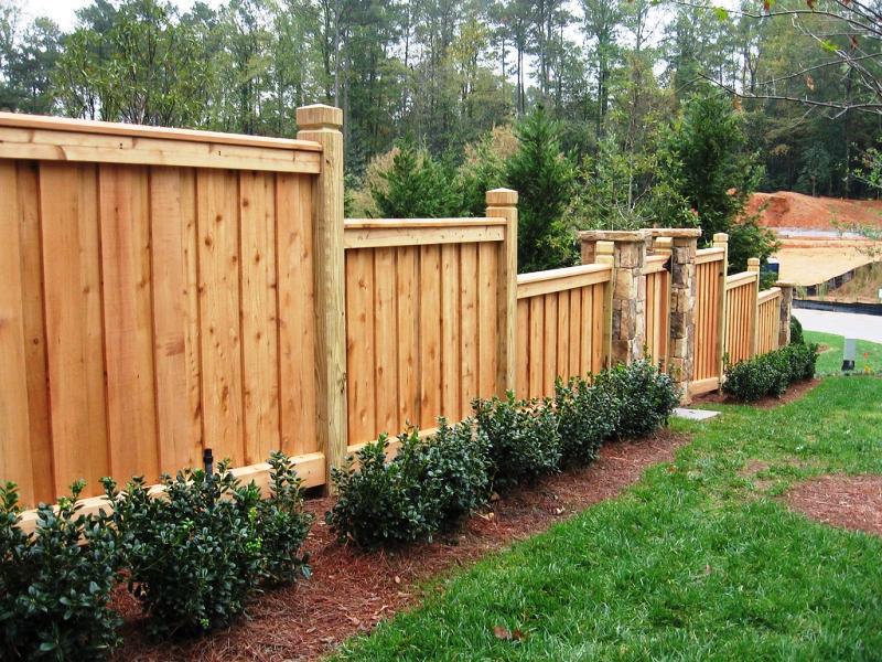 Image of: Inexpensive Privacy Fence Ideas