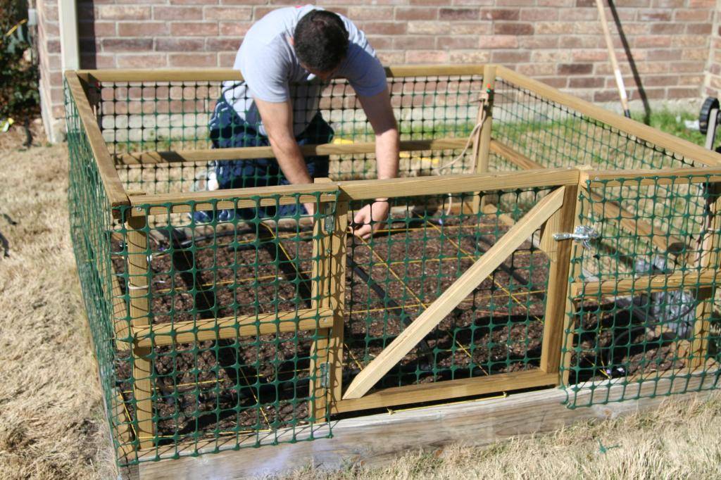 Rabbit Proof Fence Square